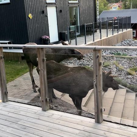 Cabin In The Woods, Close To Lake Maelaren เอสคิสทูนา ภายนอก รูปภาพ